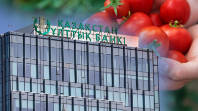Розничная торговля влияет на решения Нацбанка Казахстана по базовой ставке