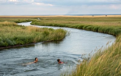Законно ли устанавливать платный доступ к водным объектам?
