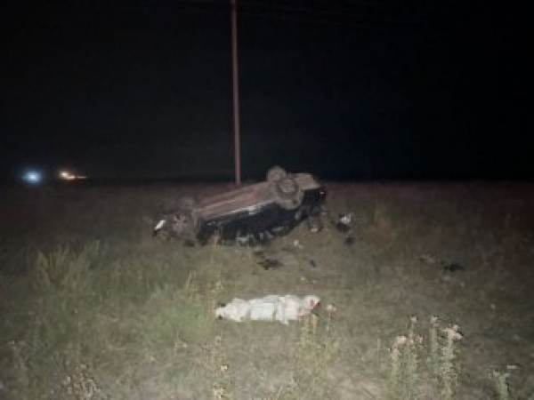 Женщина погибла в результате ДТП с участием косули в Акмолинской области