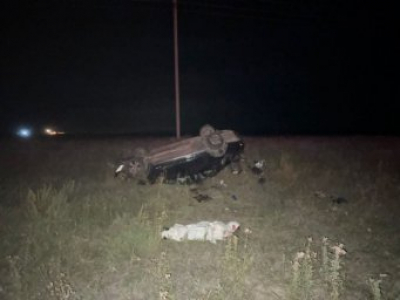 Женщина погибла в результате ДТП с участием косули в Акмолинской области