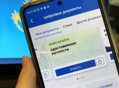 Иностранцам в соцсетях предлагают ИИН: в Казахстане начата проверка