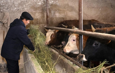 Бизнес в селах Жетысу: «Ауыл аманаты» помогает развитию сельского хозяйства