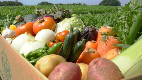 Президент поручил увеличить в 2 раза валовый объем сельхозпродукции