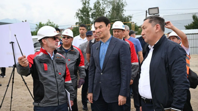Беспокойное хозяйство