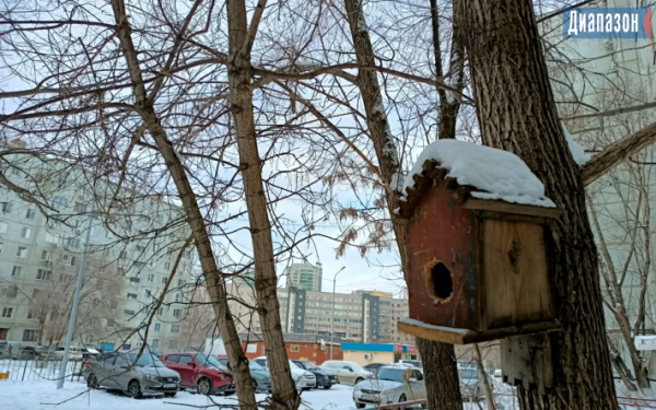 В Актобе идут морозы