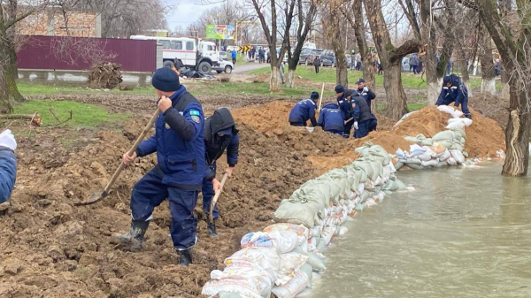 Регионы помогают бороться с последствиями наводнения