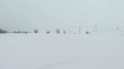 Сколько земли в Алматинской области вернули в госсобственность