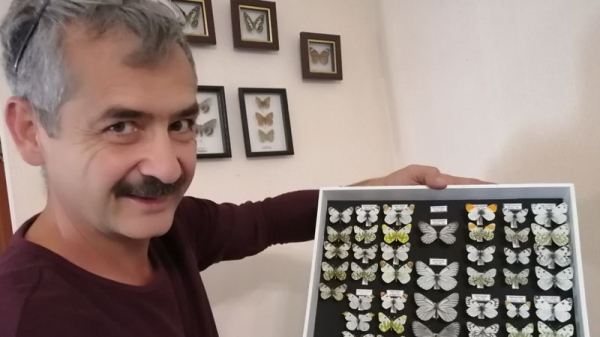 Эффект бабочки: как энтомолога-любителя из Талдыкоргана признали в мировом сообществе ученых