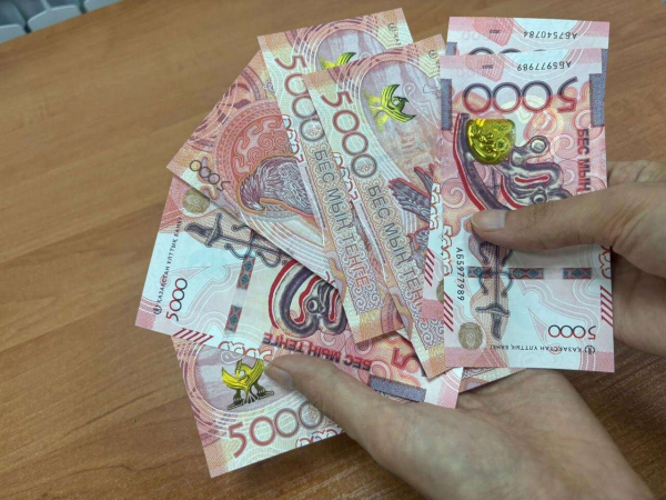 В Карагандинской области выявлены нарушения в расходовании пенсий недееспособных граждан