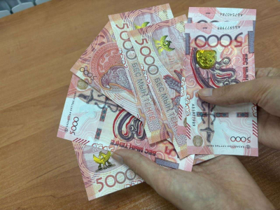 В Карагандинской области выявлены нарушения в расходовании пенсий недееспособных граждан