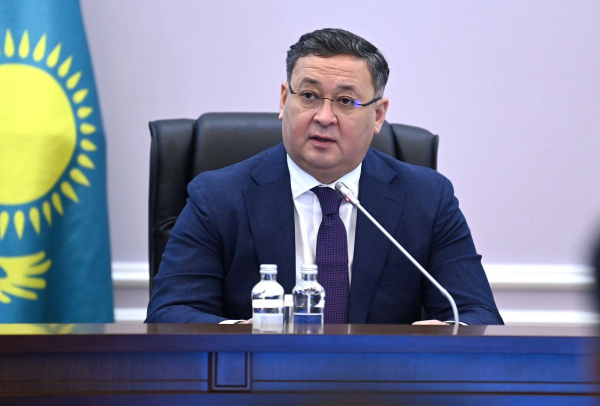 Практически все граждане Казахстана эвакуированы из сектора Газа - глава МИД