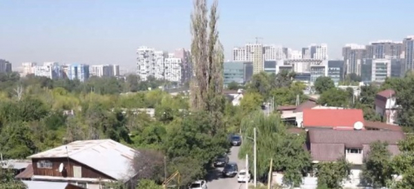 Выявлять опасные "больные" деревья будут с помощью новых технологий в Алматы
