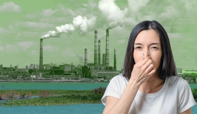 Пути решения экологических проблем Казахстана представил общественный совет при &laquo;AMANAT&raquo;