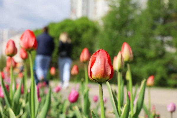 В некоторых регионах Казахстана ожидается сильная жара