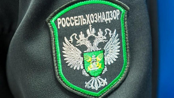 224 тонны сельхозпродукции не разрешили ввезти в ноябре из Казахстана в Алтай России