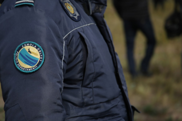 Полиция проверила информацию о "волках в акмолинских селах"