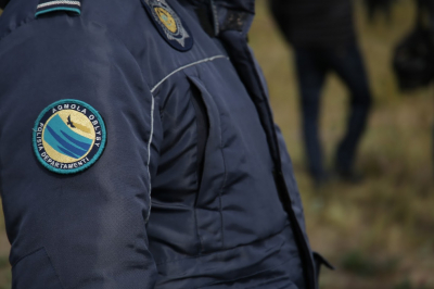 Полиция проверила информацию о &quot;волках в акмолинских селах&quot;
